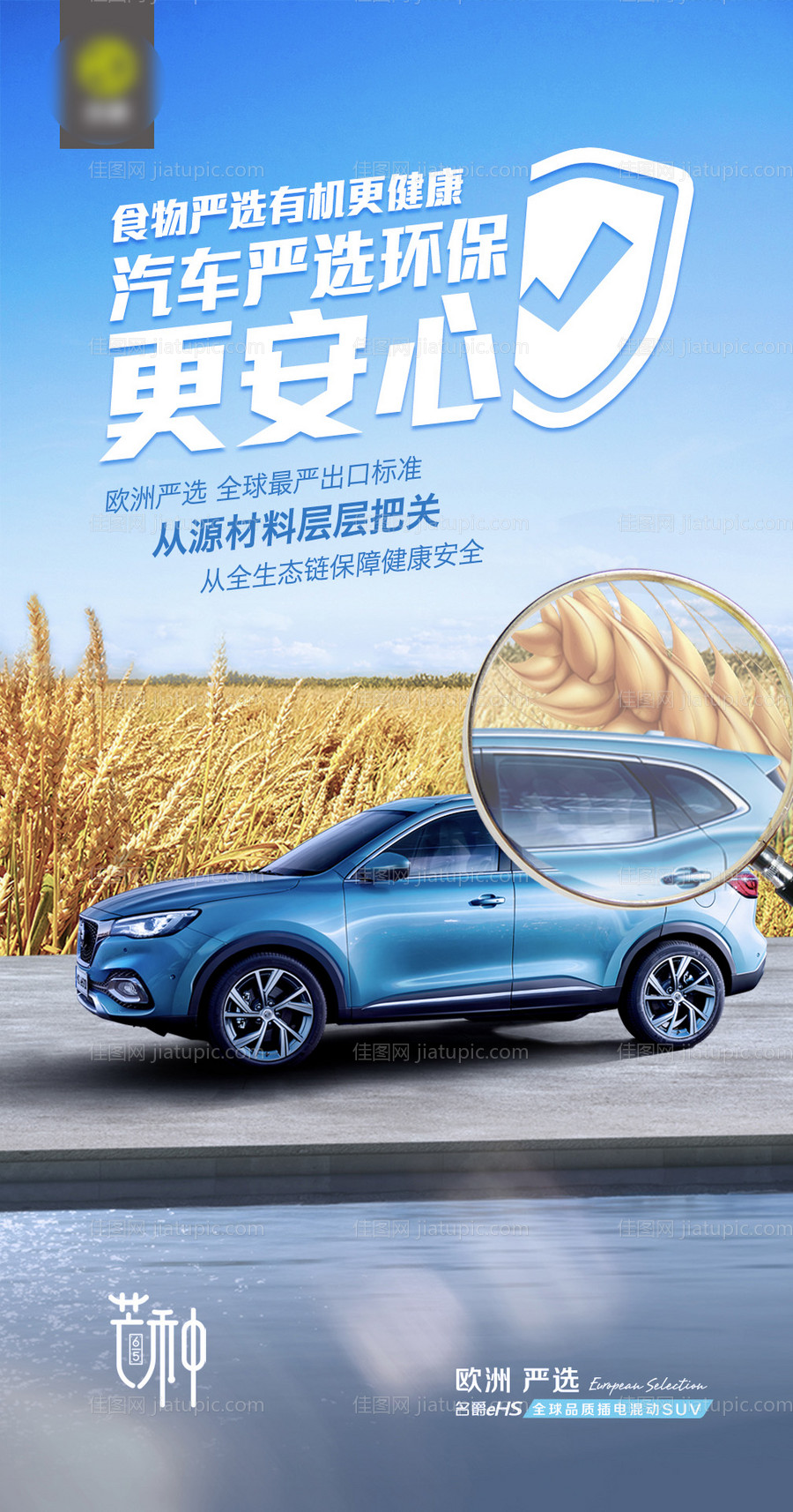 芒种微信图-源文件