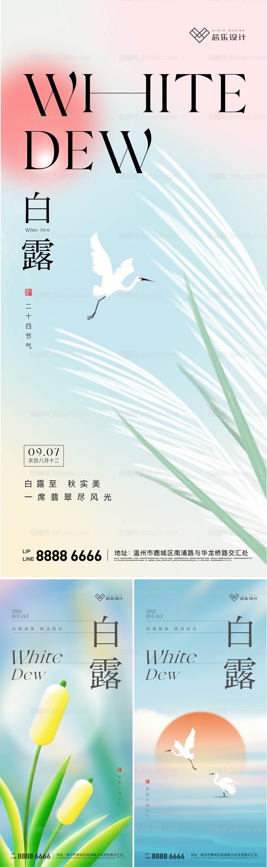 白露节气系列海报-源文件