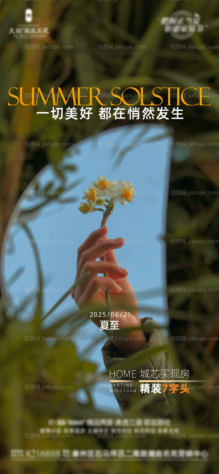 夏至节气海报-源文件