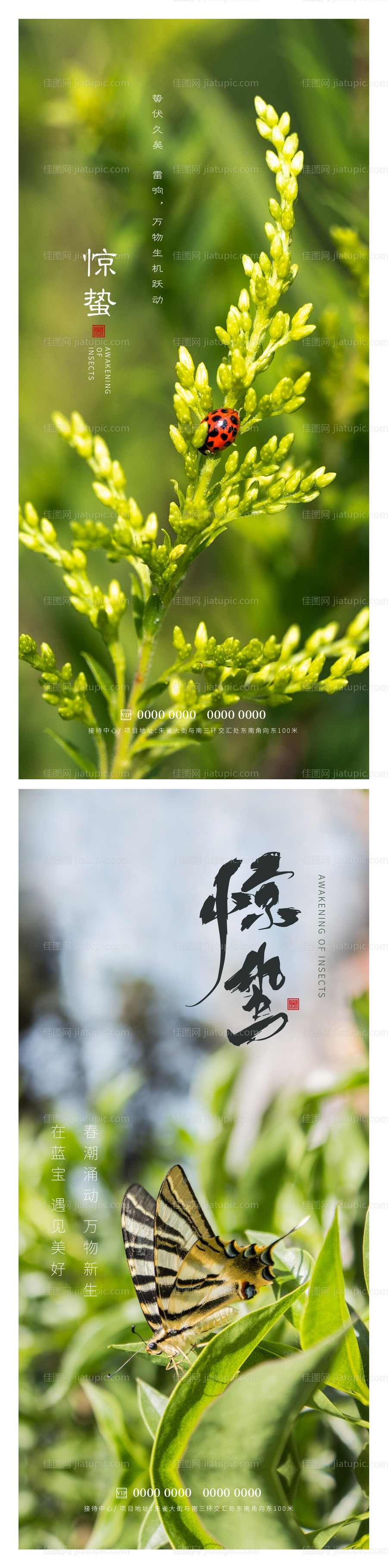 惊蛰节气系列海报-源文件