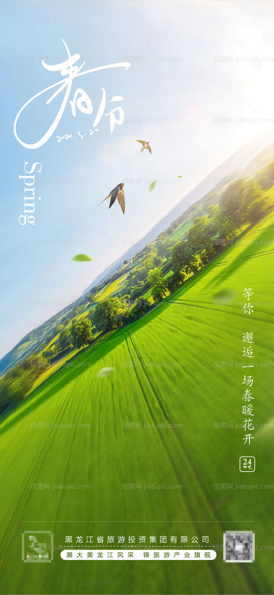 春分节气海报-源文件