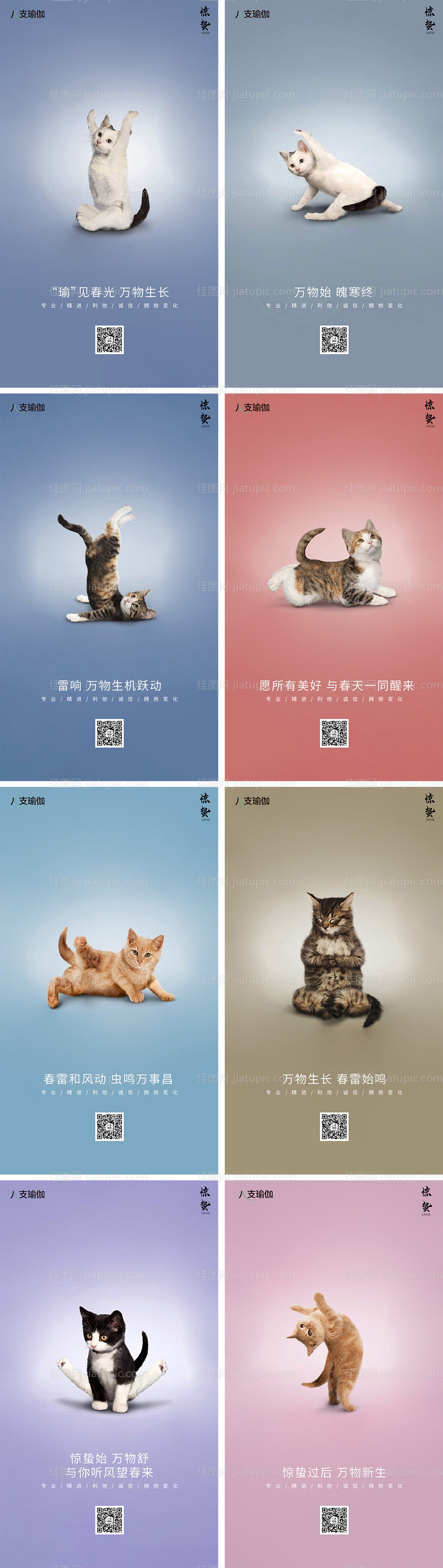 猫咪瑜伽惊蛰创意海报-源文件