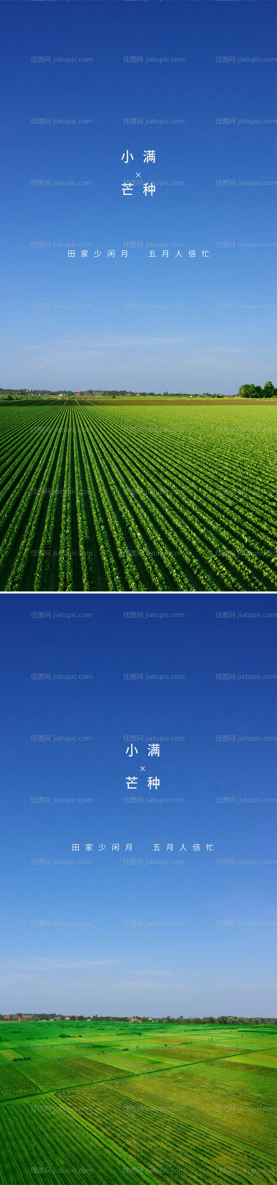 小满芒种海报-源文件