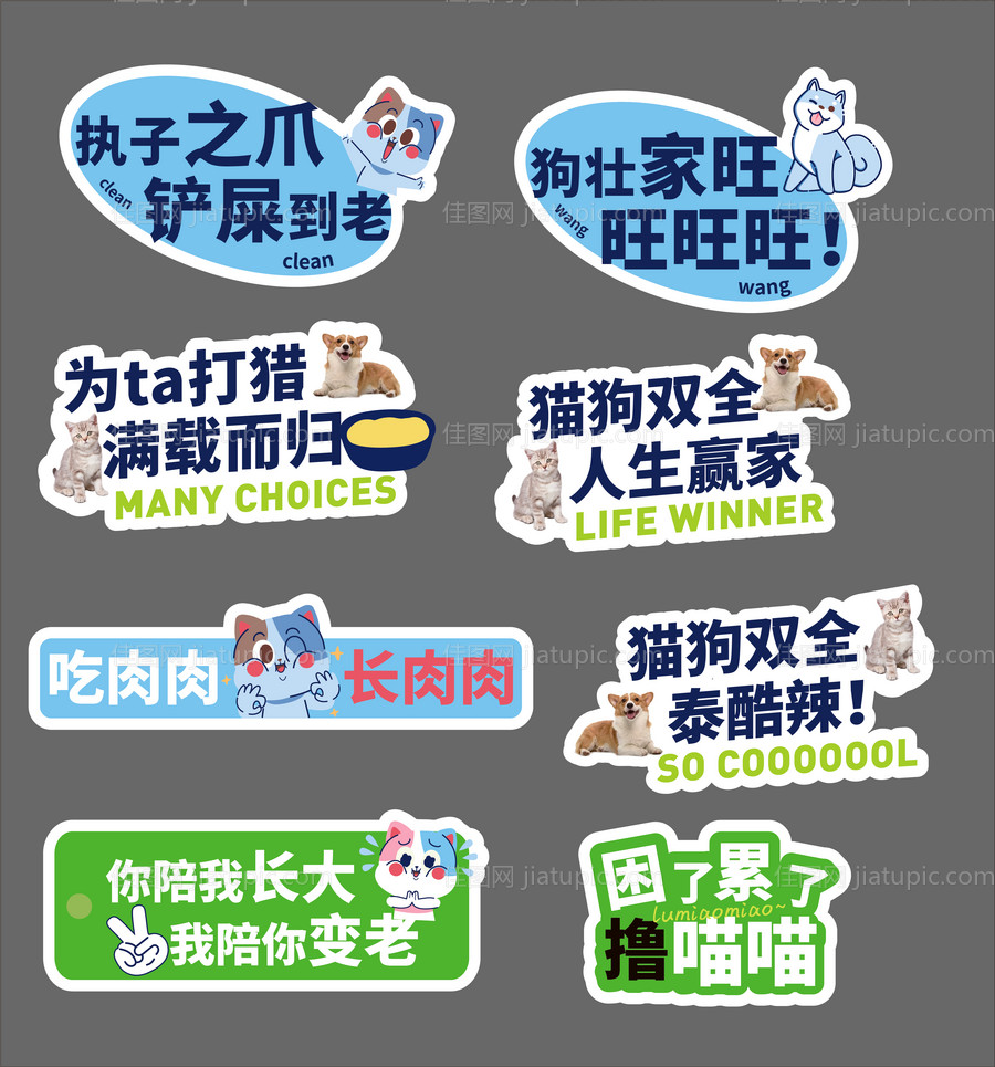 宠物手举牌-源文件