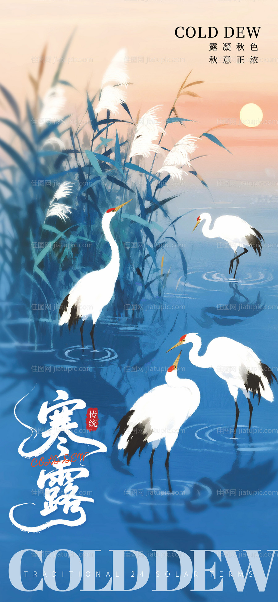 寒露二十四节气-源文件