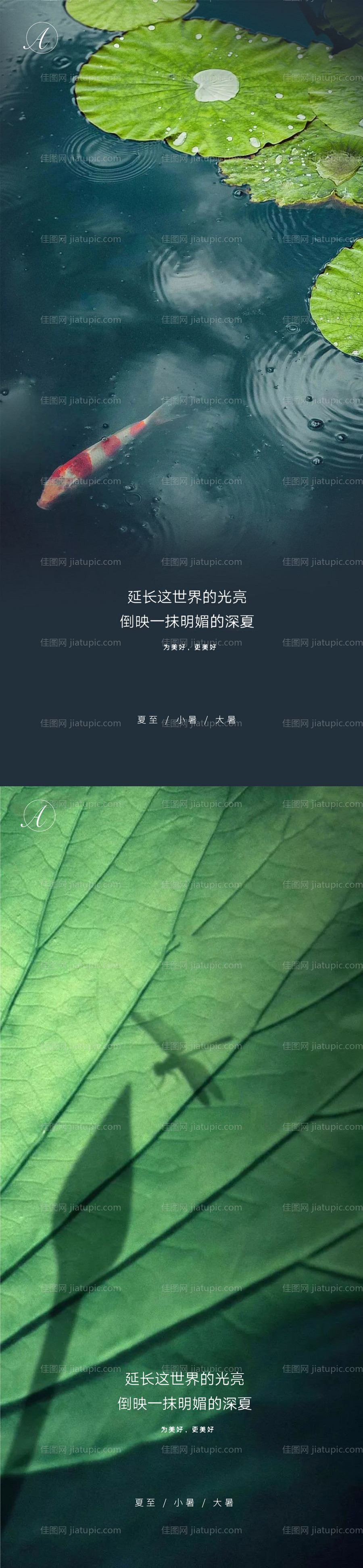 夏至海报-源文件