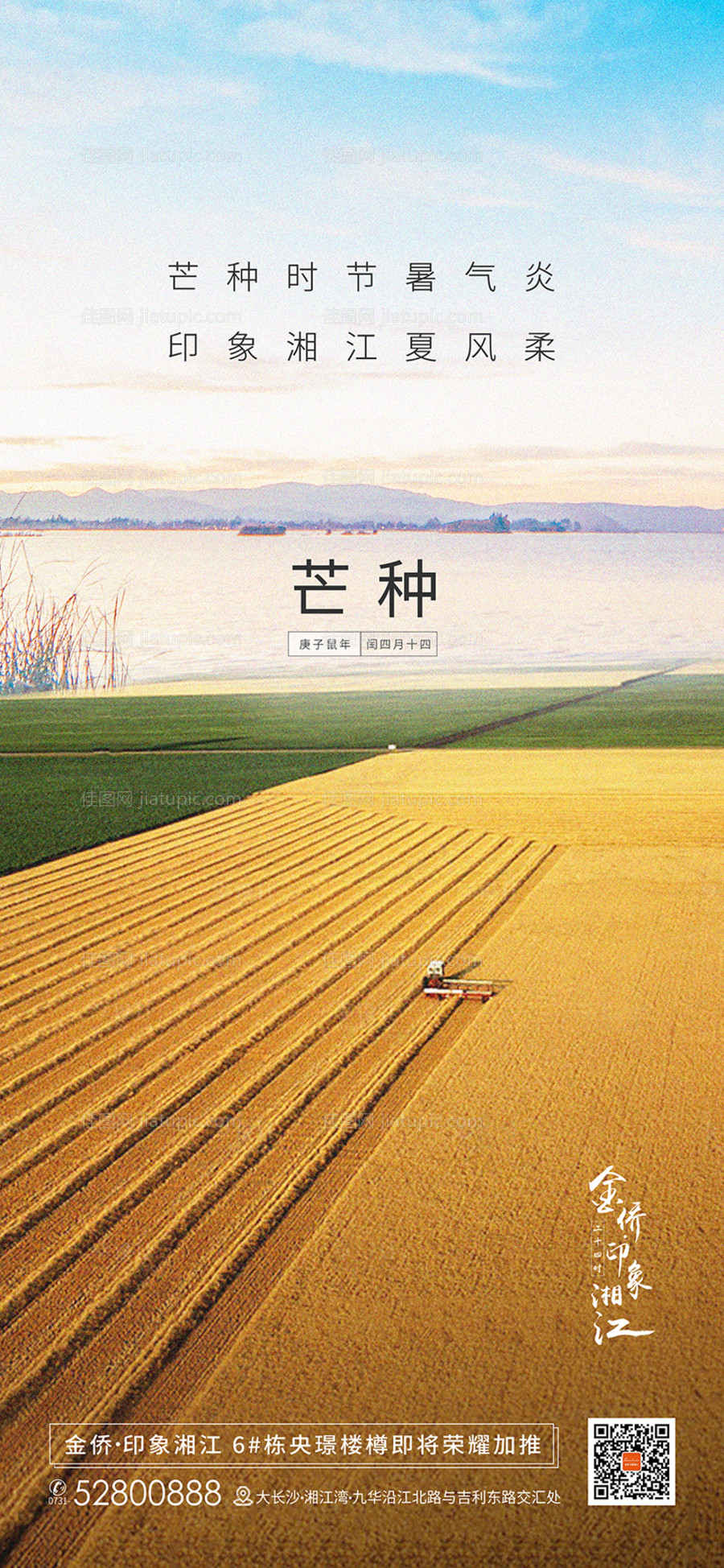 芒种节气海报-源文件