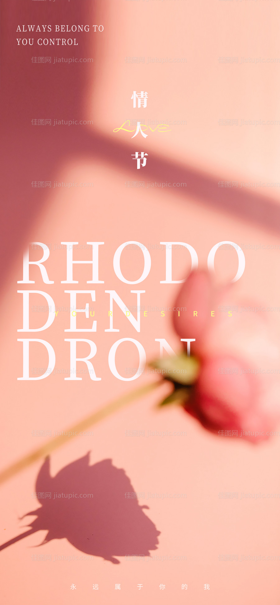 情人节 -源文件