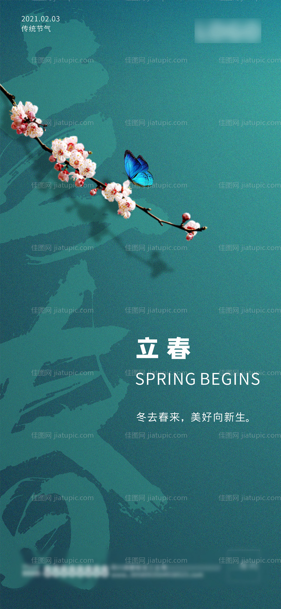 蝴蝶与花立春海报-源文件