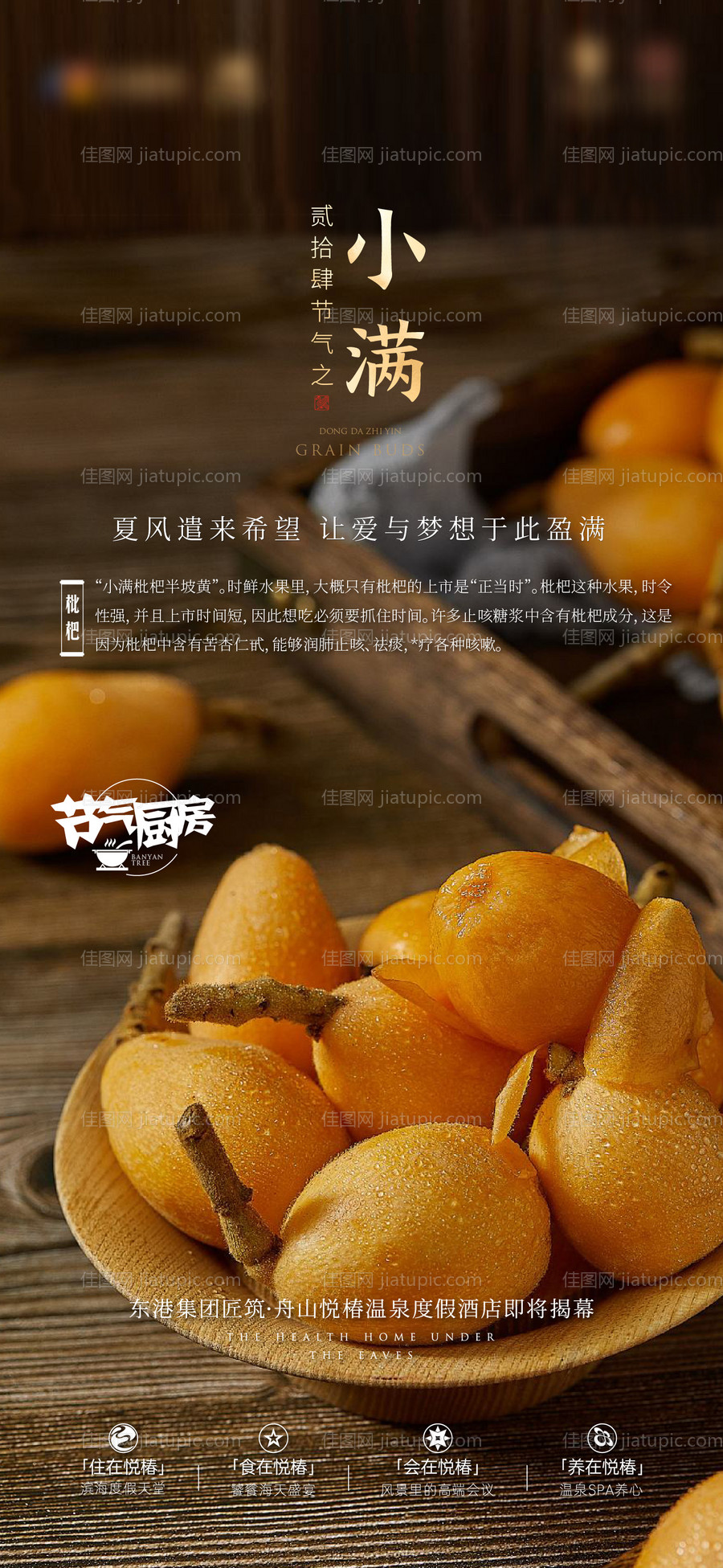 小满节气海报-源文件