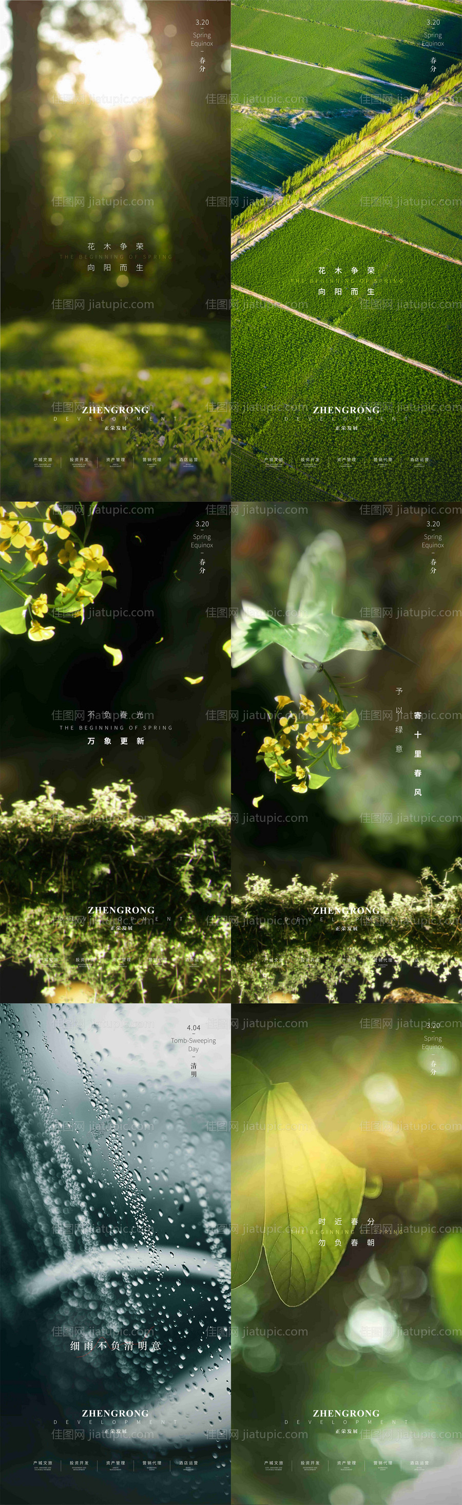 春分节气移动端海报-源文件