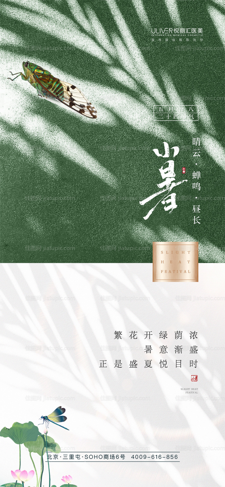 二十四节气小暑海报-源文件