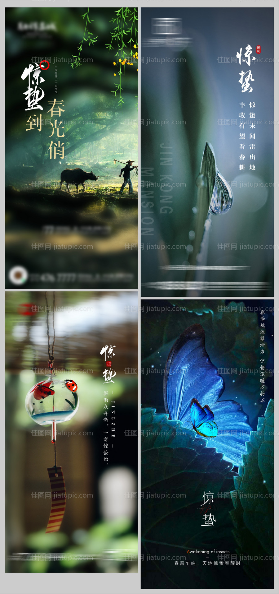 地产节气惊蛰-源文件