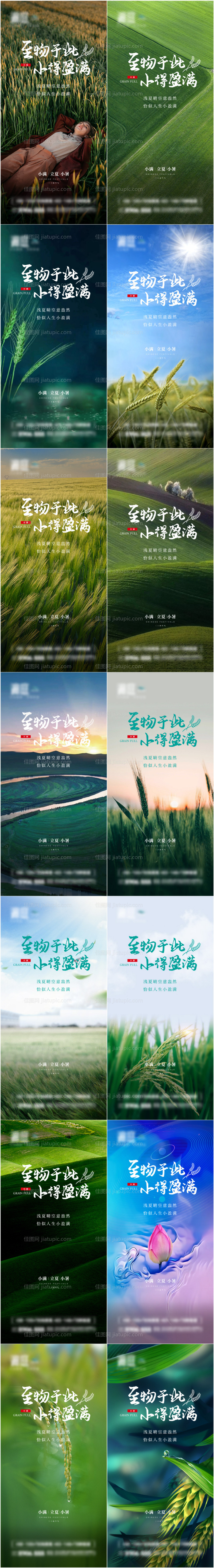 小满小暑大暑立夏二十四节气海报-源文件