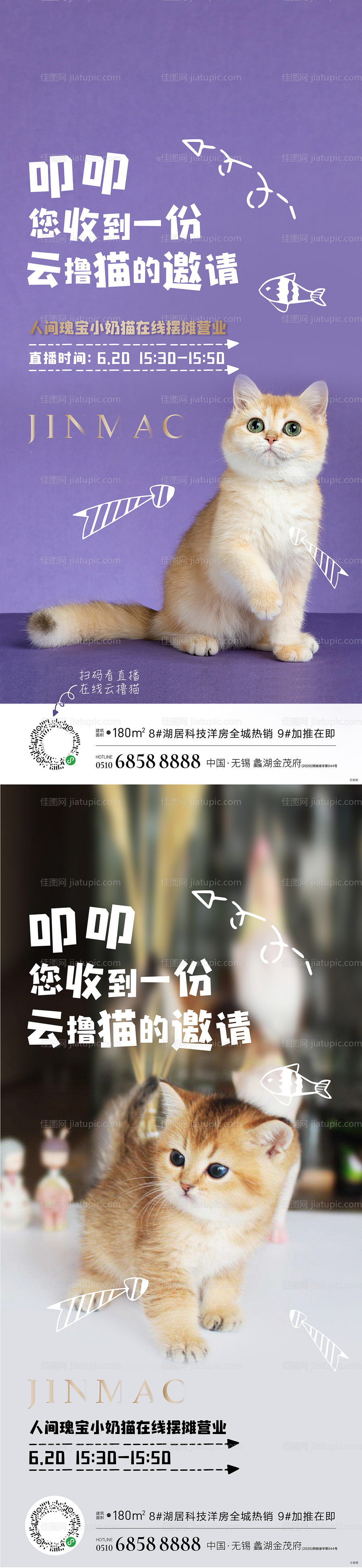 猫直播简约系列海报-源文件