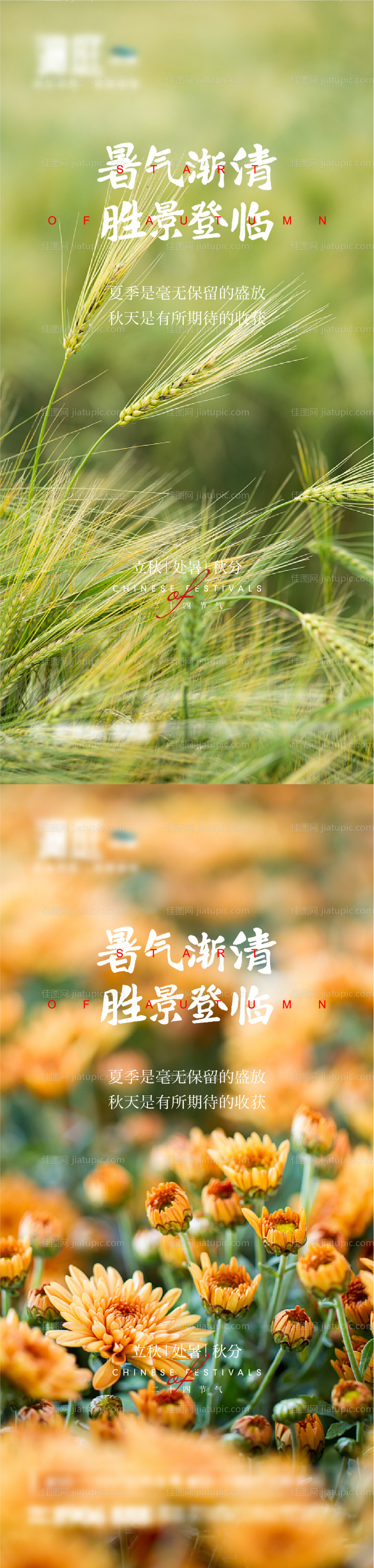 立秋处暑秋分节气海报-源文件