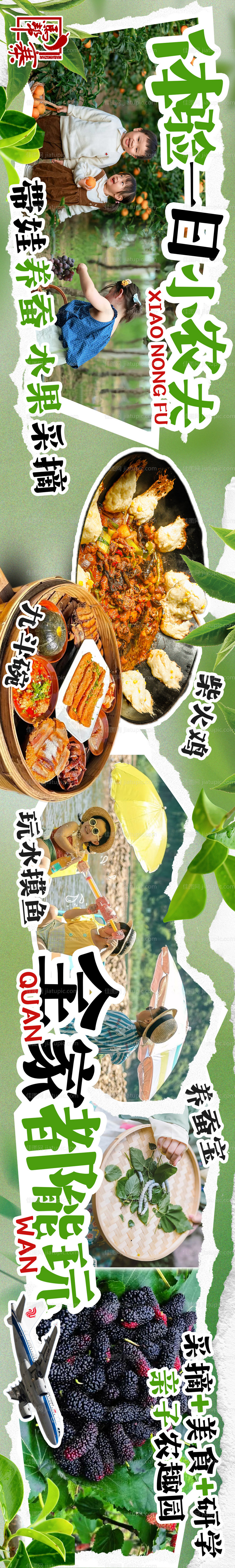 亲子采摘-源文件