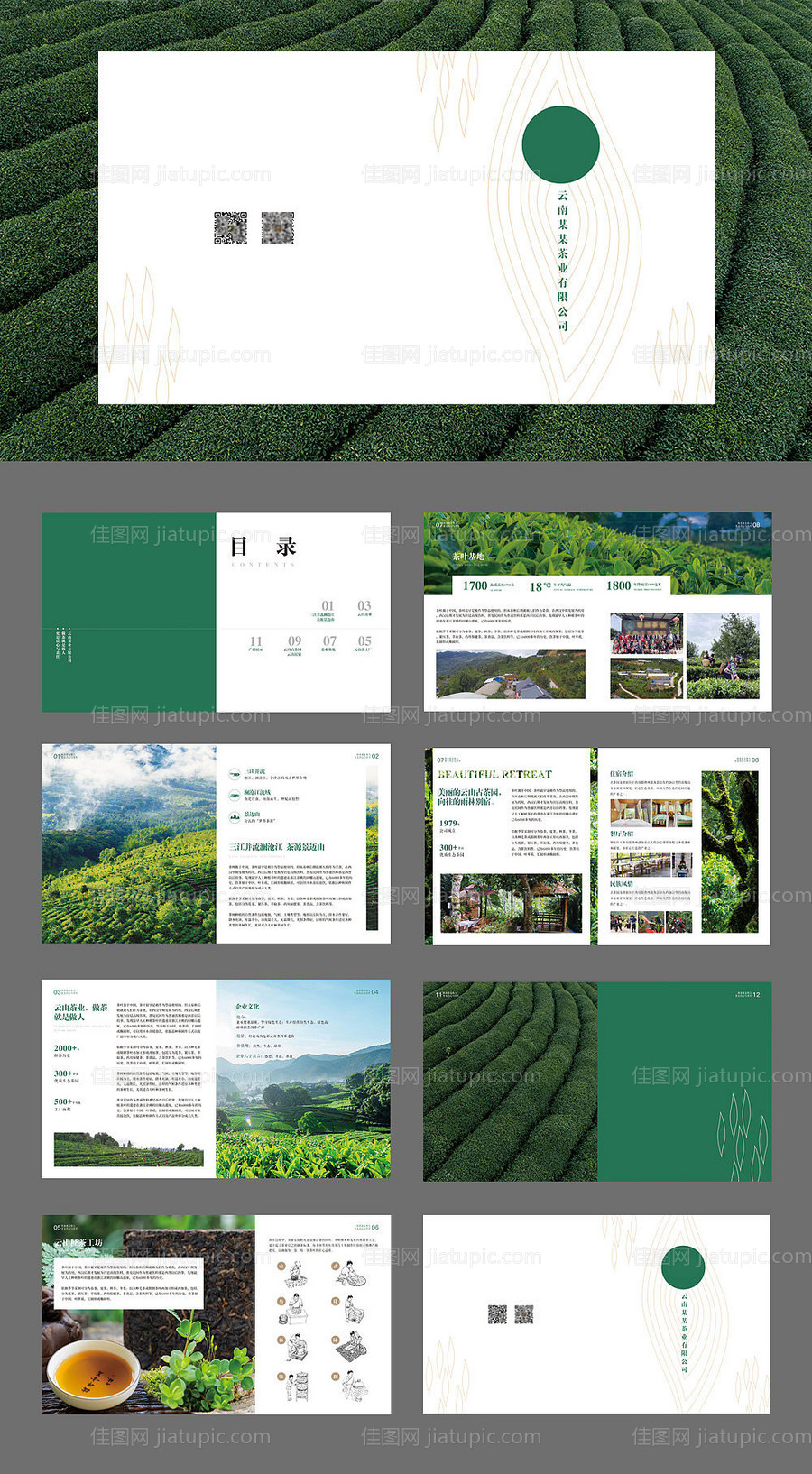 创意高端茶叶茶山宣传册-源文件