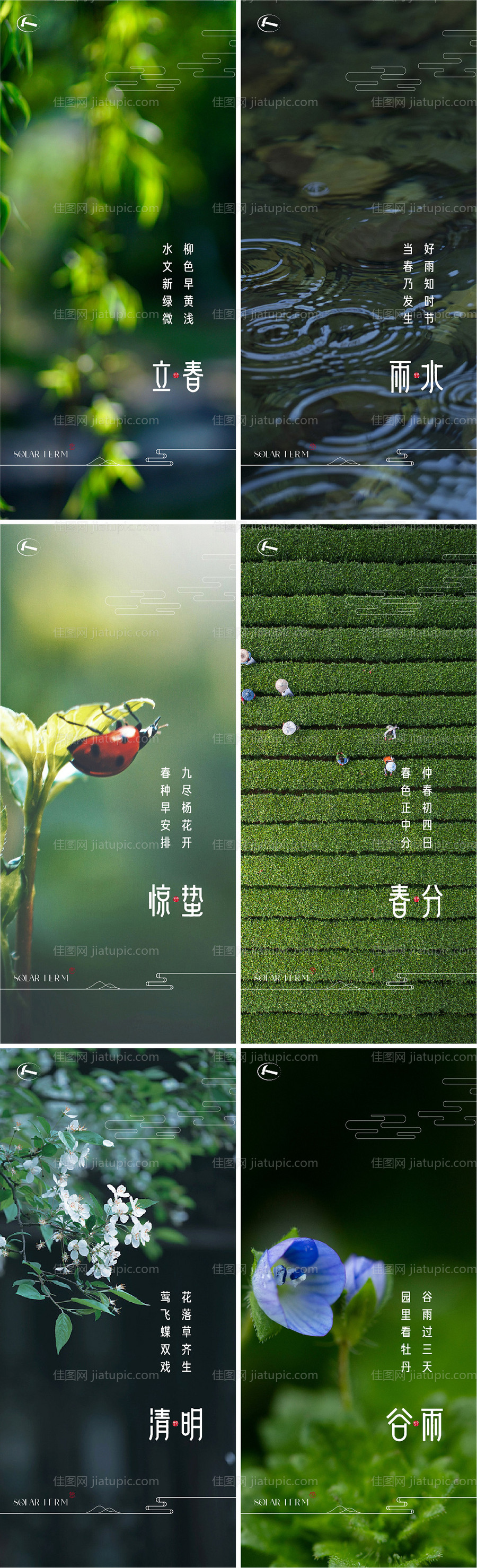 春天节气系列海报-源文件
