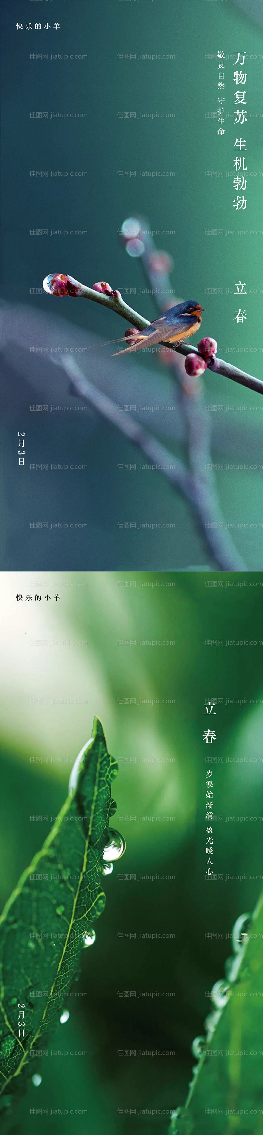 立春节气海报-源文件