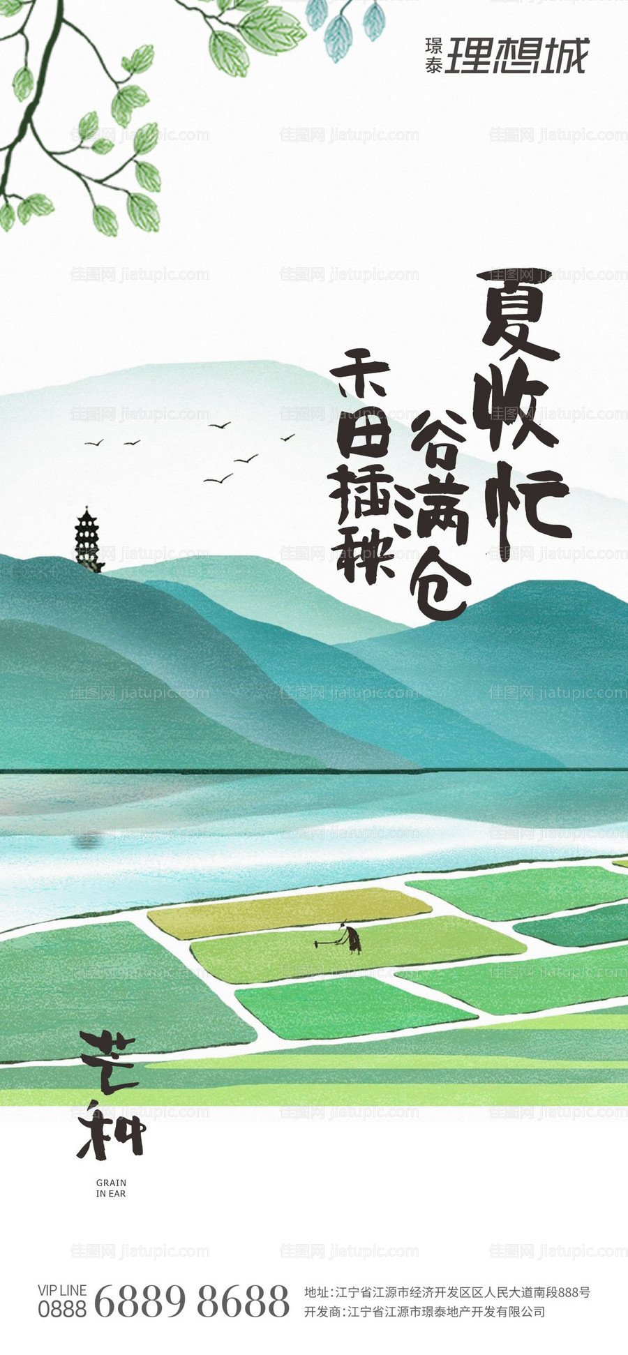 芒种节气插画微信海报-源文件