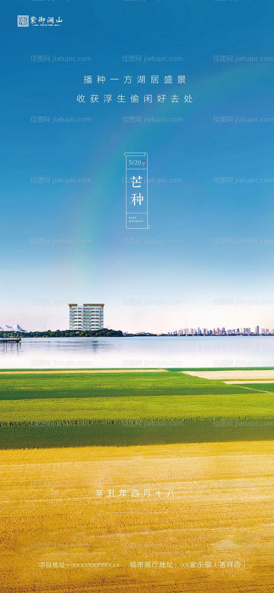 芒种节气海报-源文件