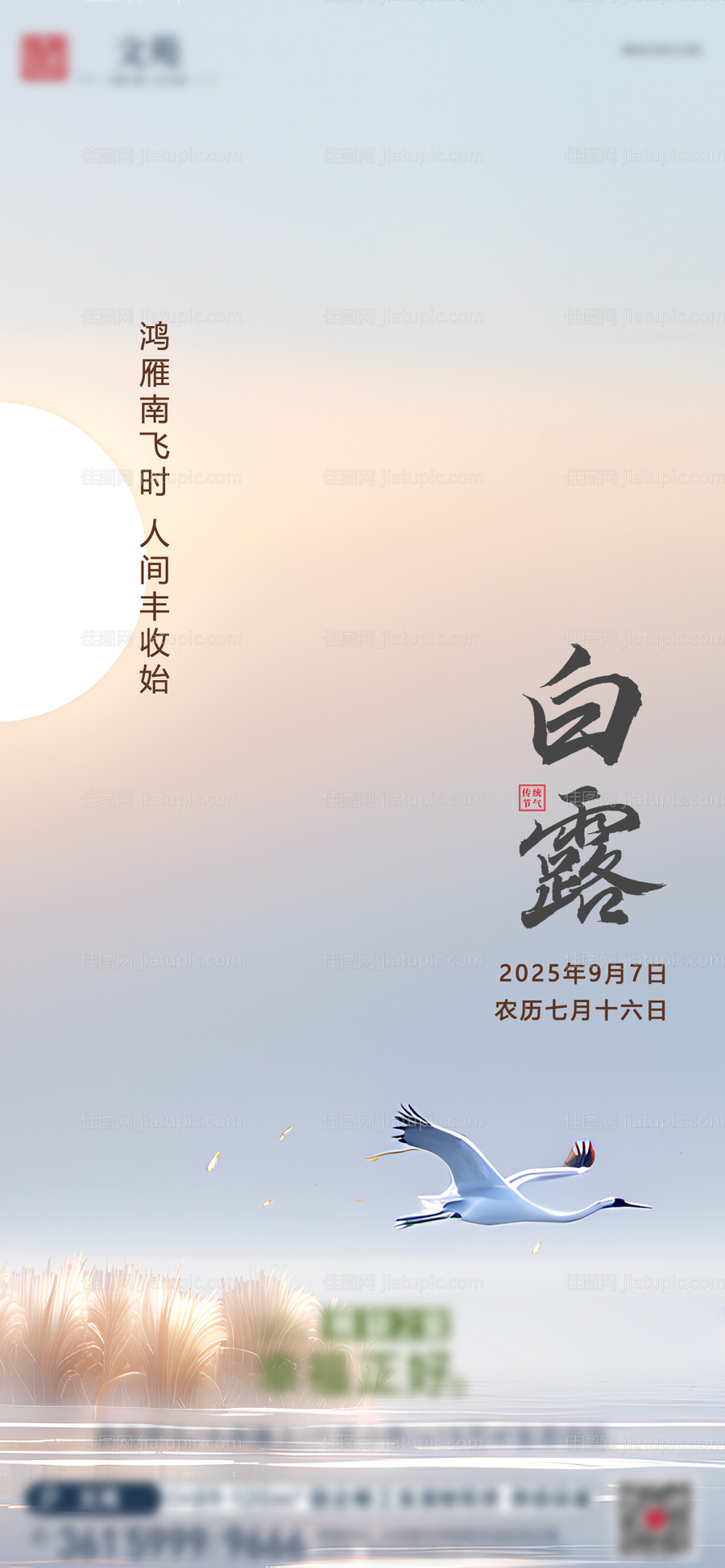 房地产白露节气海报-源文件