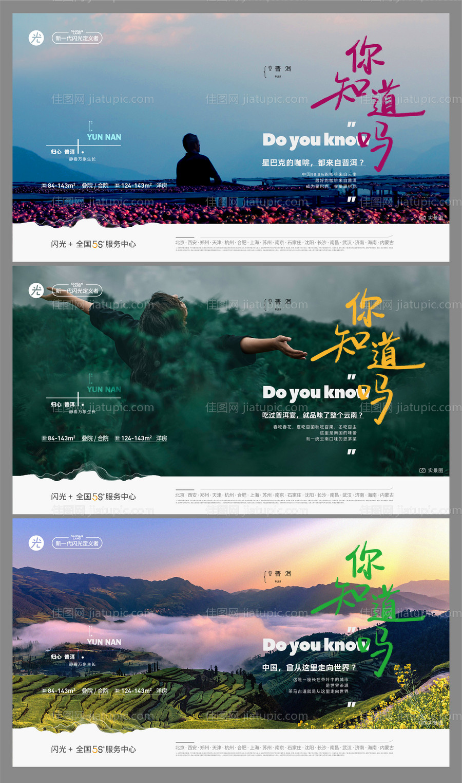 茶叶悬疑海报-源文件