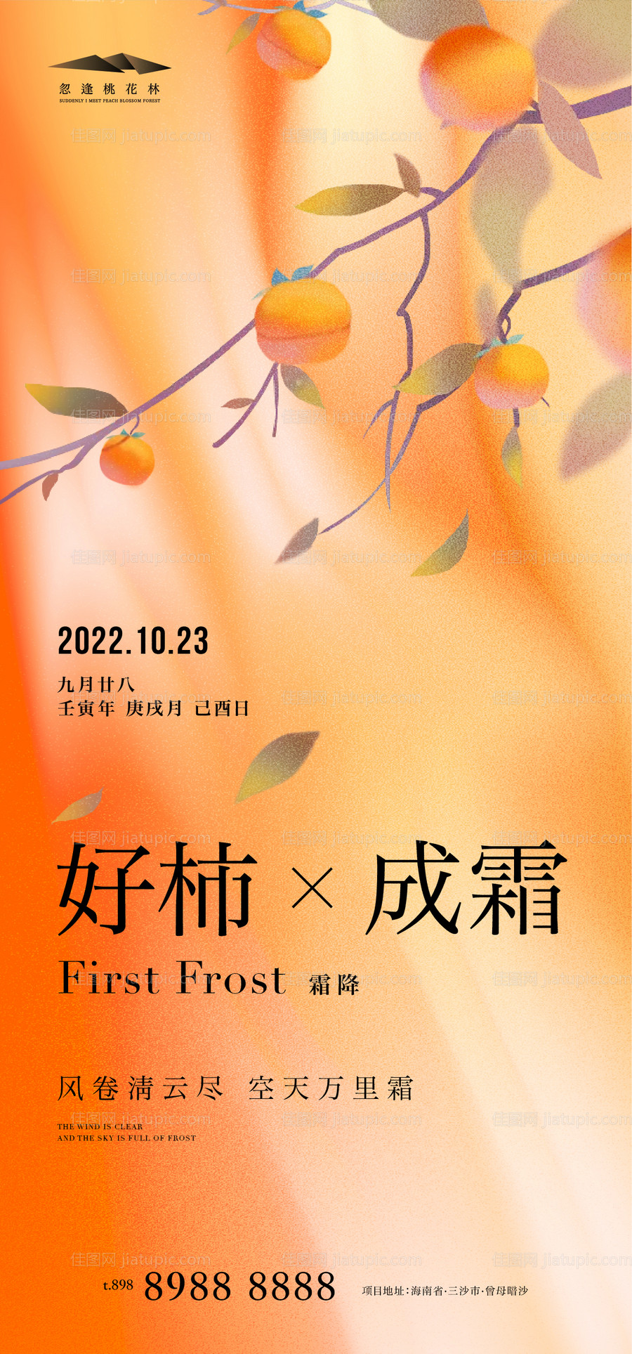 霜降海报-源文件