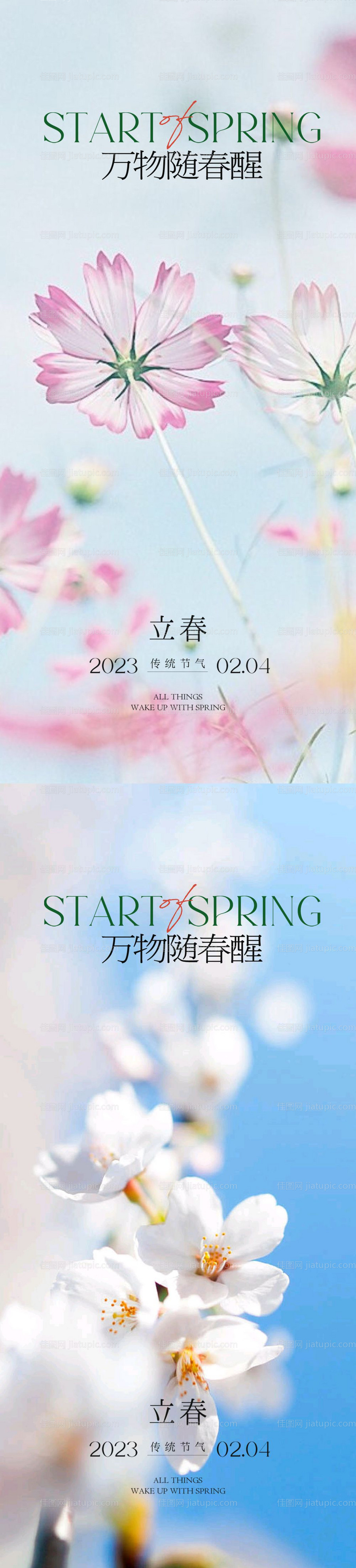 立春节气系列海报-源文件