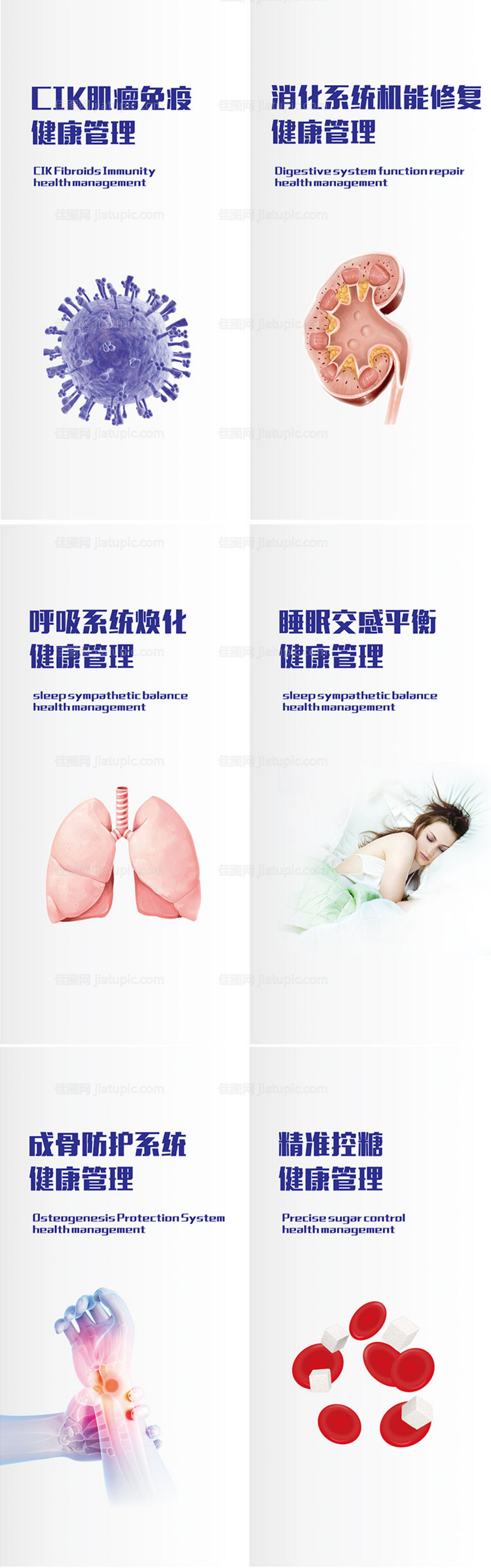 大健康项目介绍系列海报-源文件