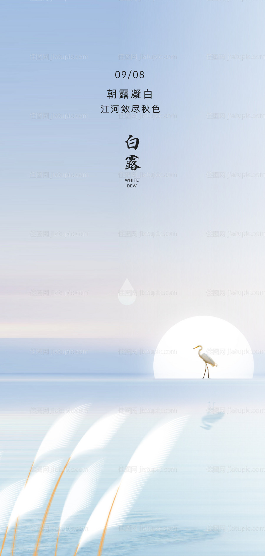 白露节气海报-源文件