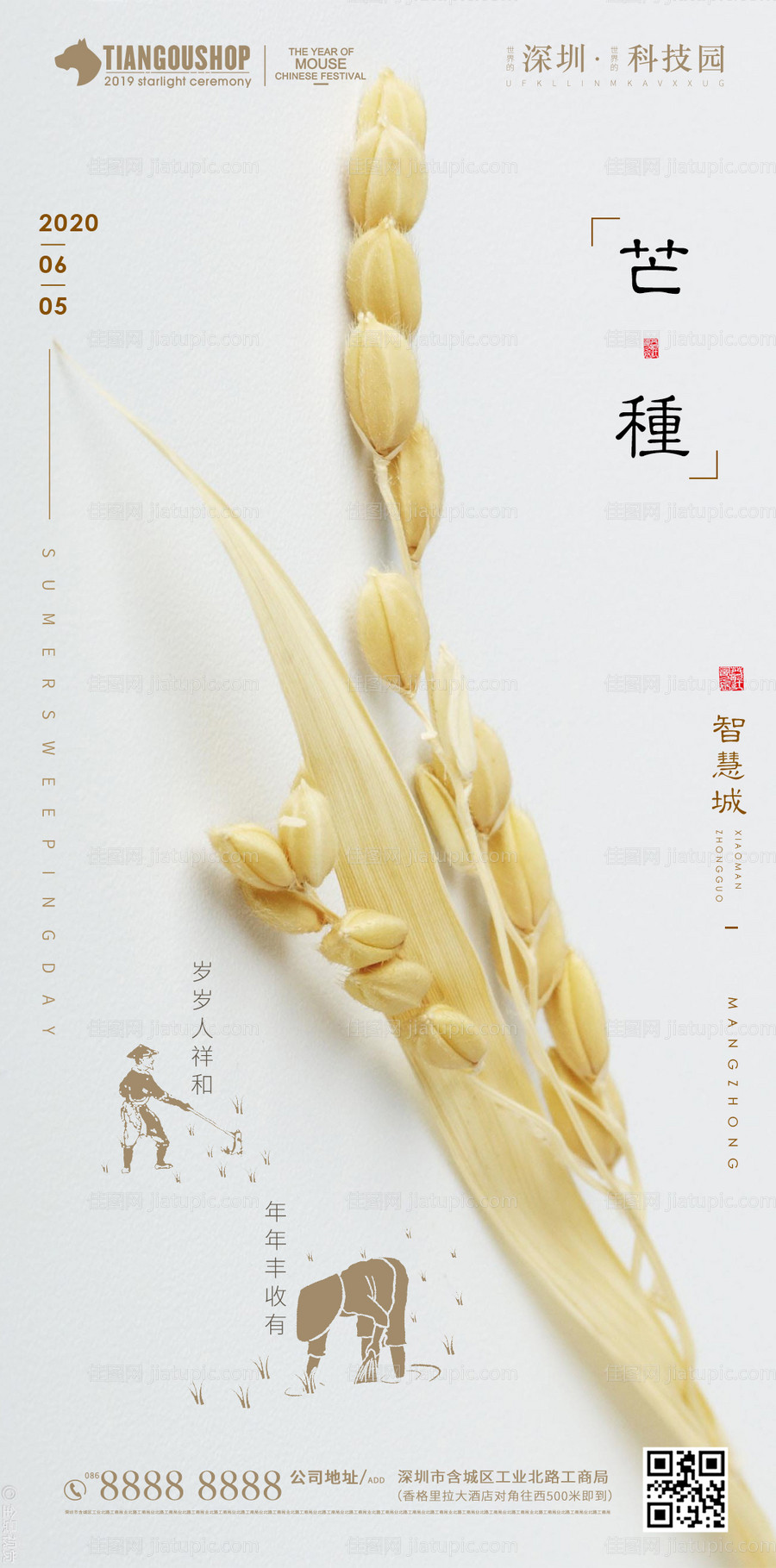 房地产二十四节气芒种-源文件