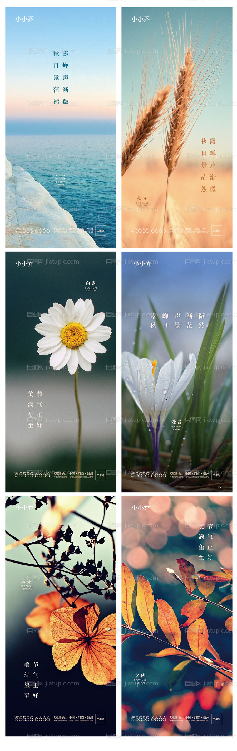 节气系列海报-源文件