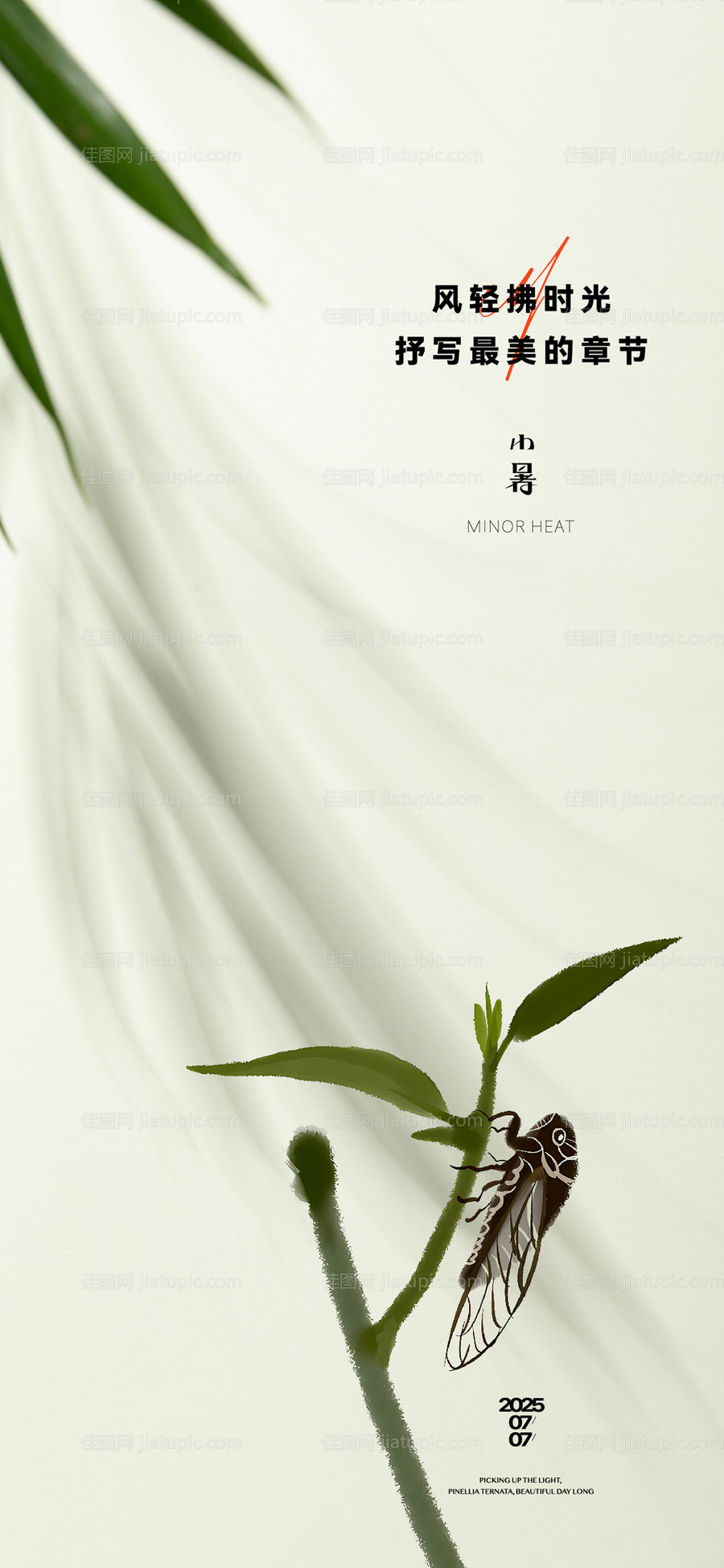 小暑海报-源文件