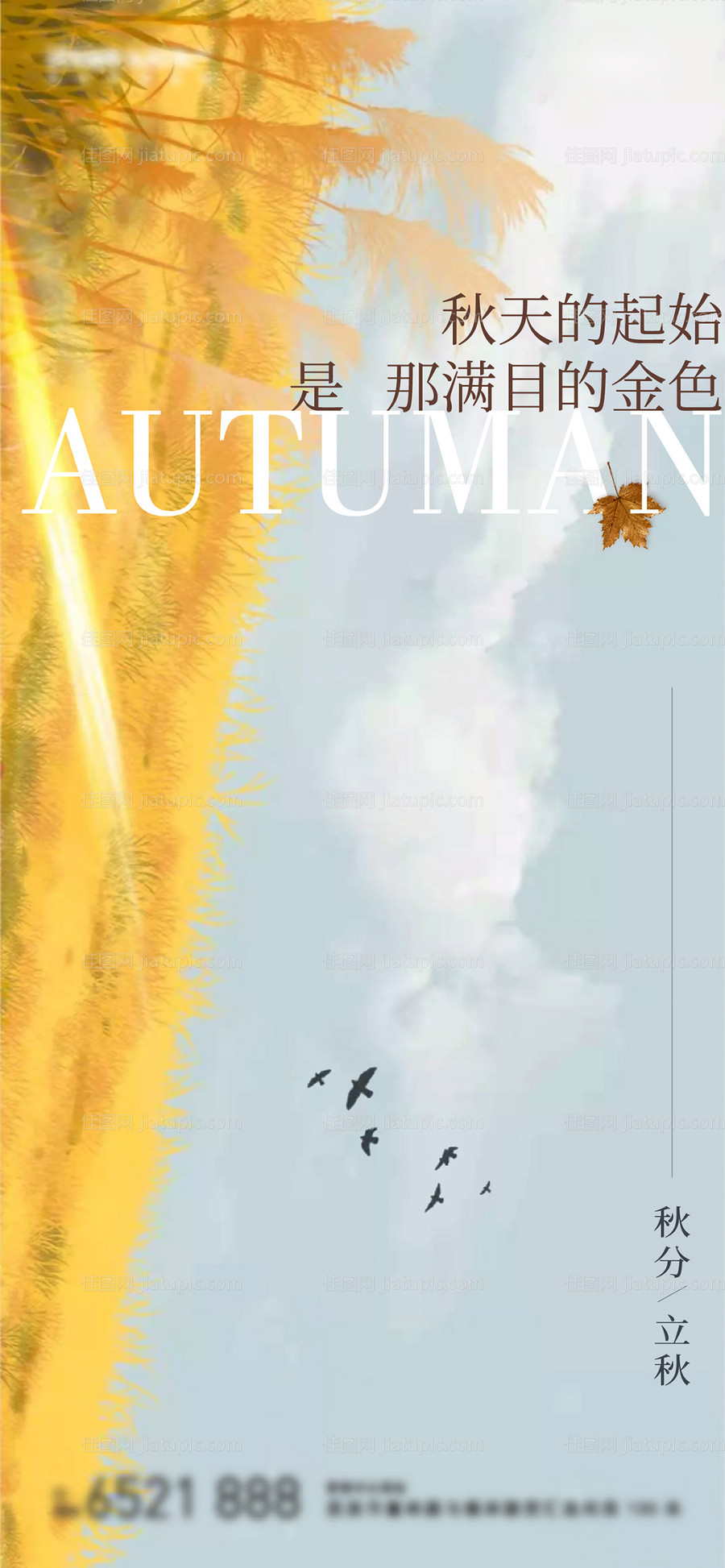 秋分立秋秋天海报-源文件