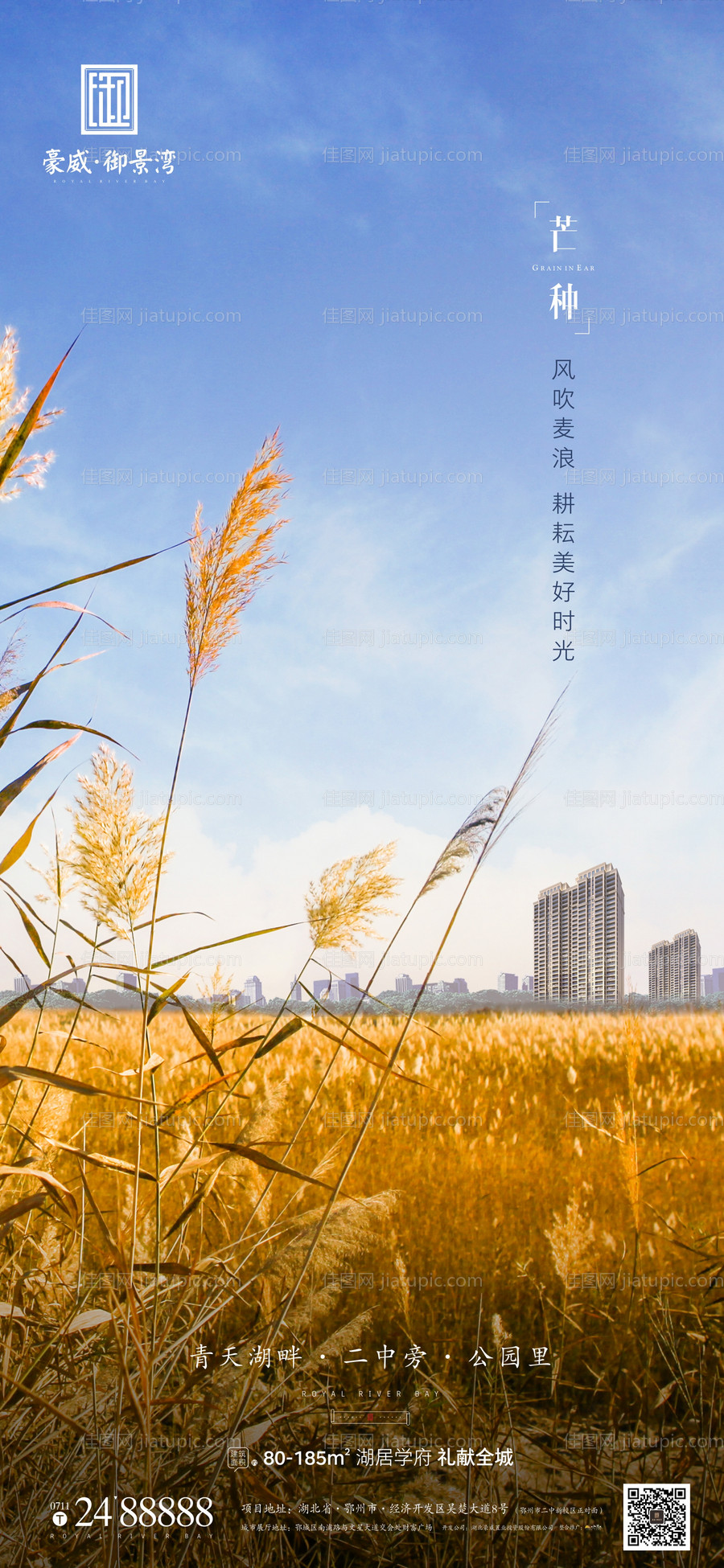 地产芒种节气海报-源文件