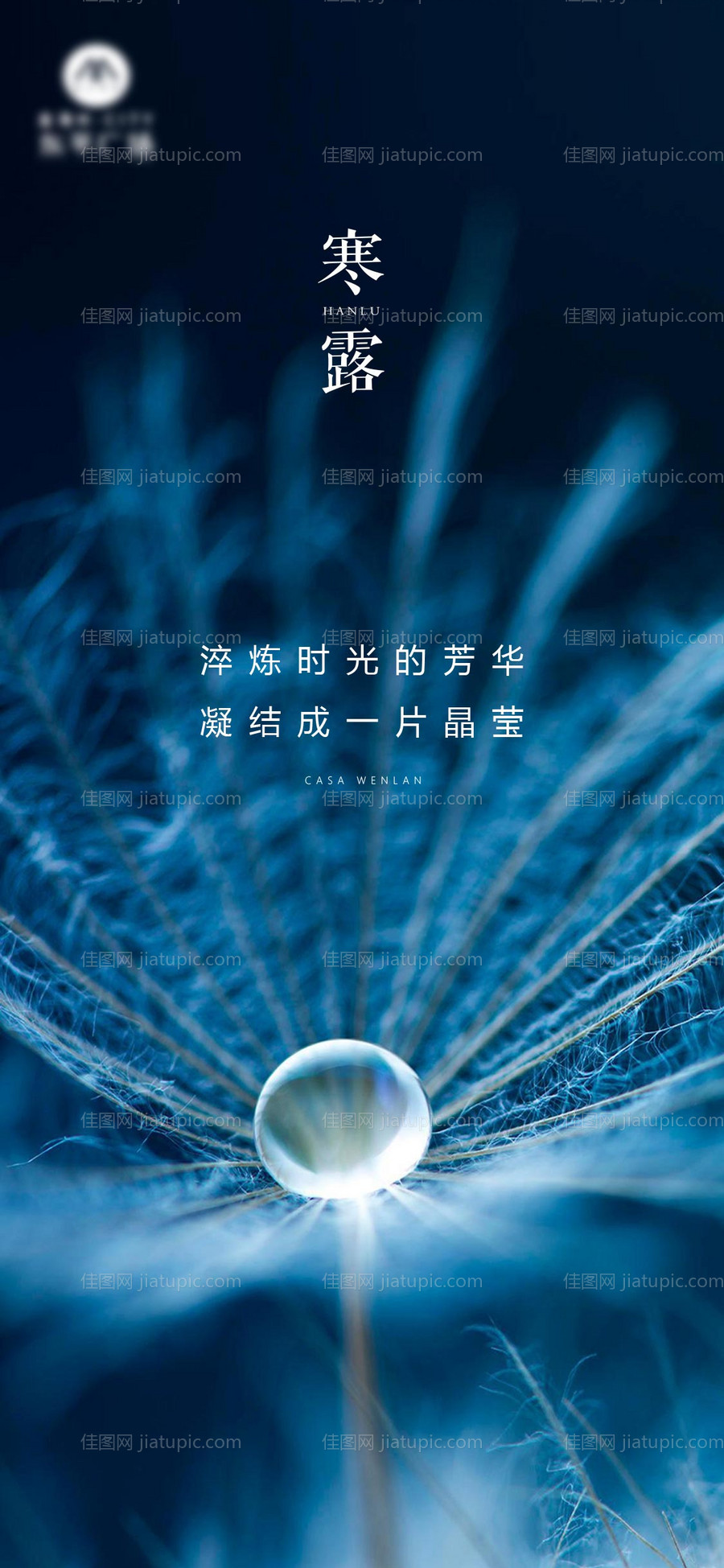 寒露节气海报-源文件