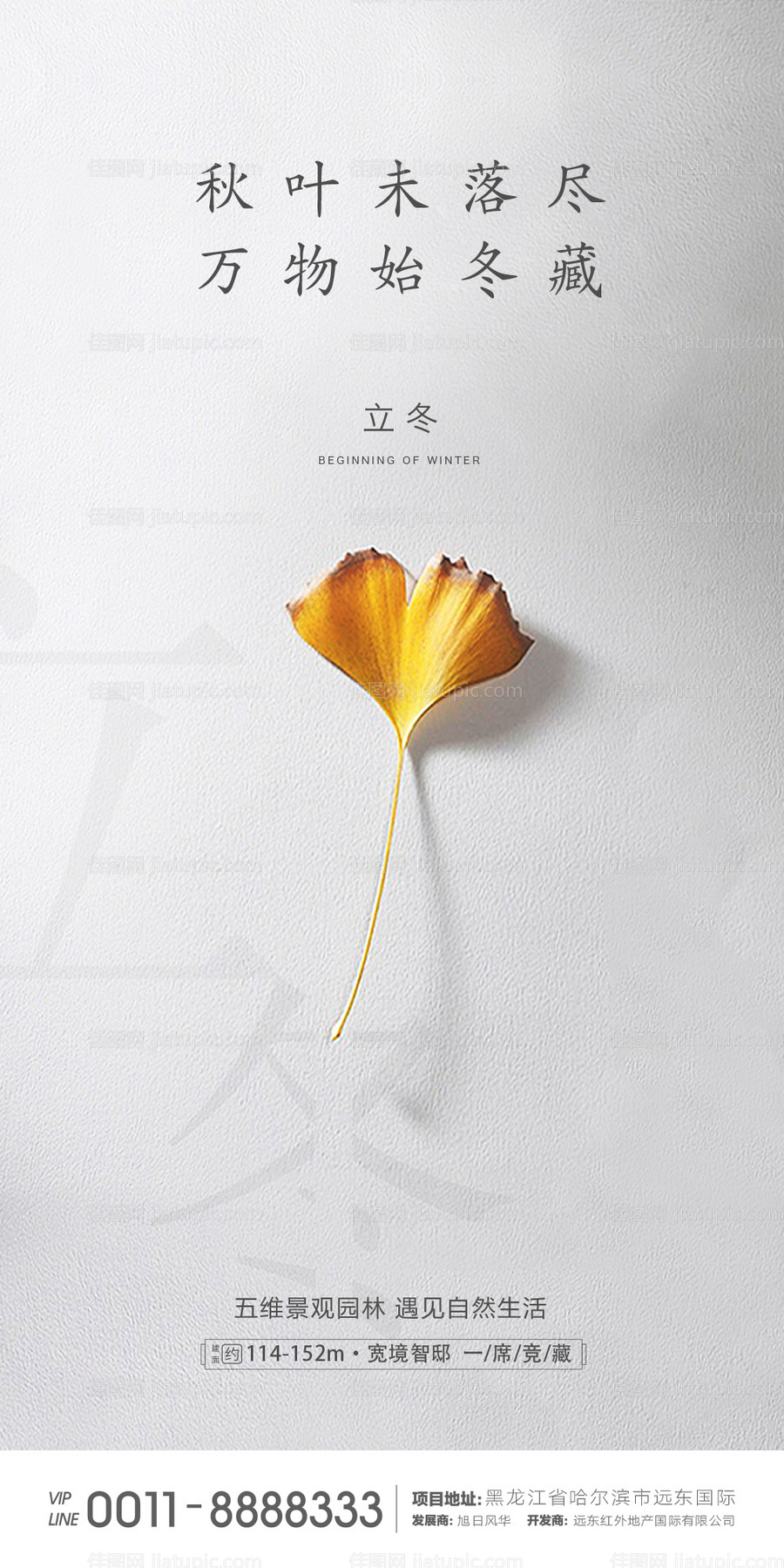 立冬简约节气海报-源文件