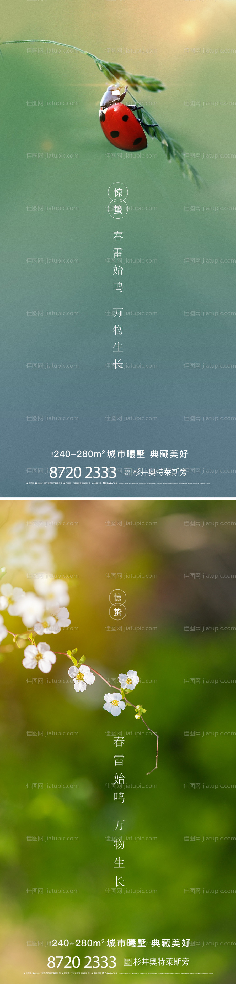 地产惊蛰海报-源文件