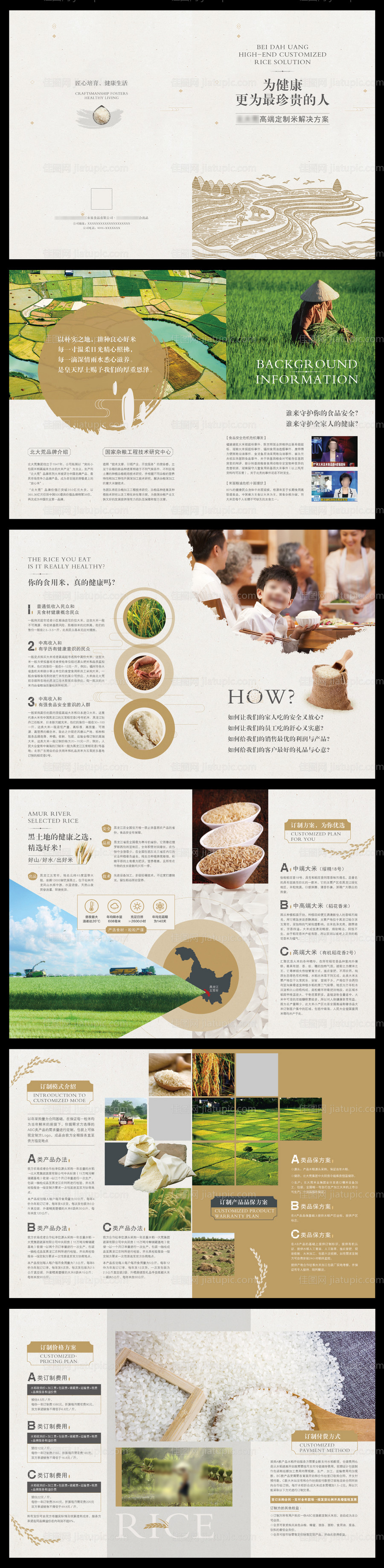 高端定制大米画册-源文件