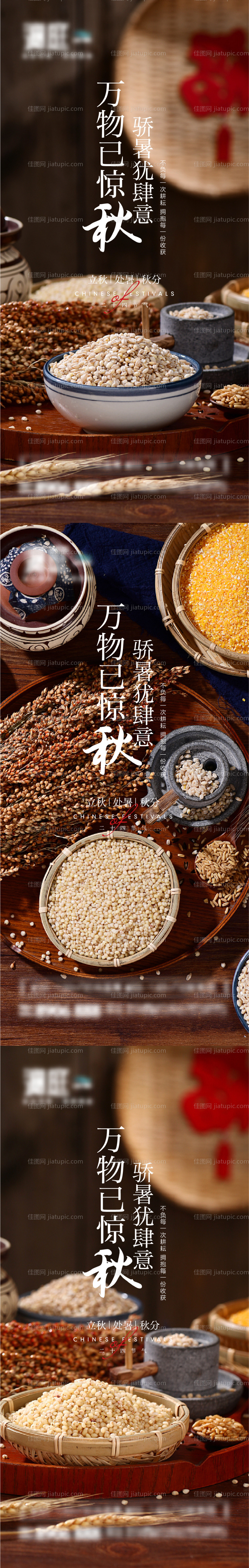 立秋处暑秋分节气系列海报-源文件