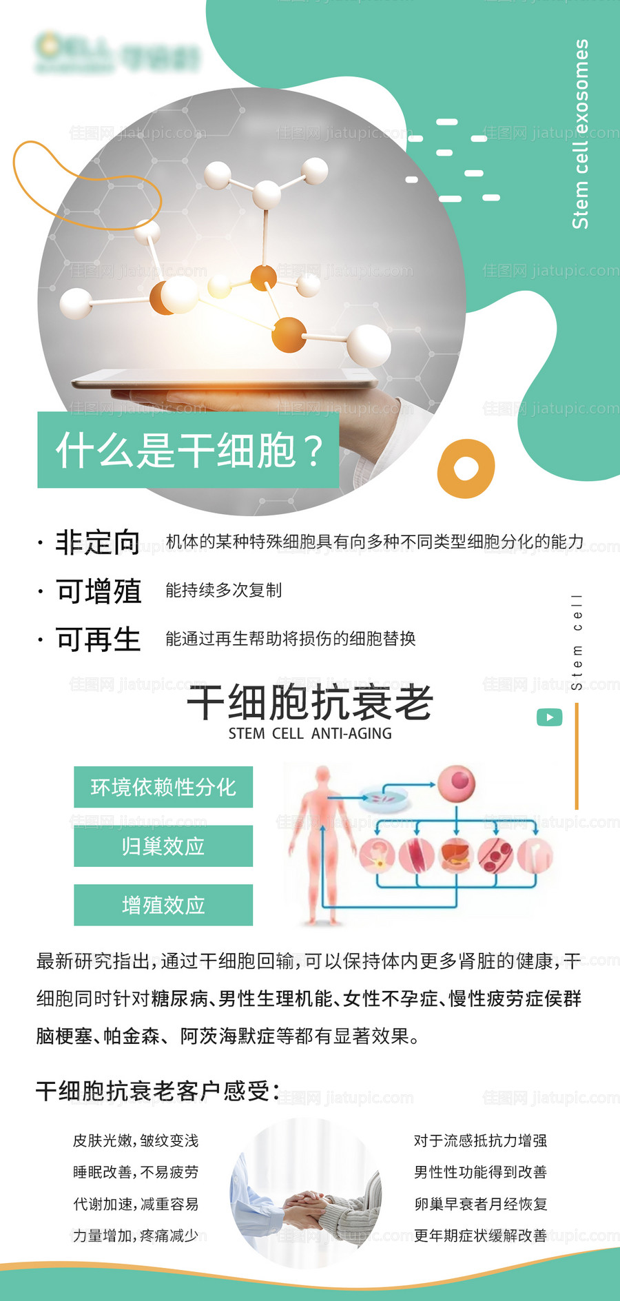 了解干细胞及干细胞抗衰知识海报-源文件