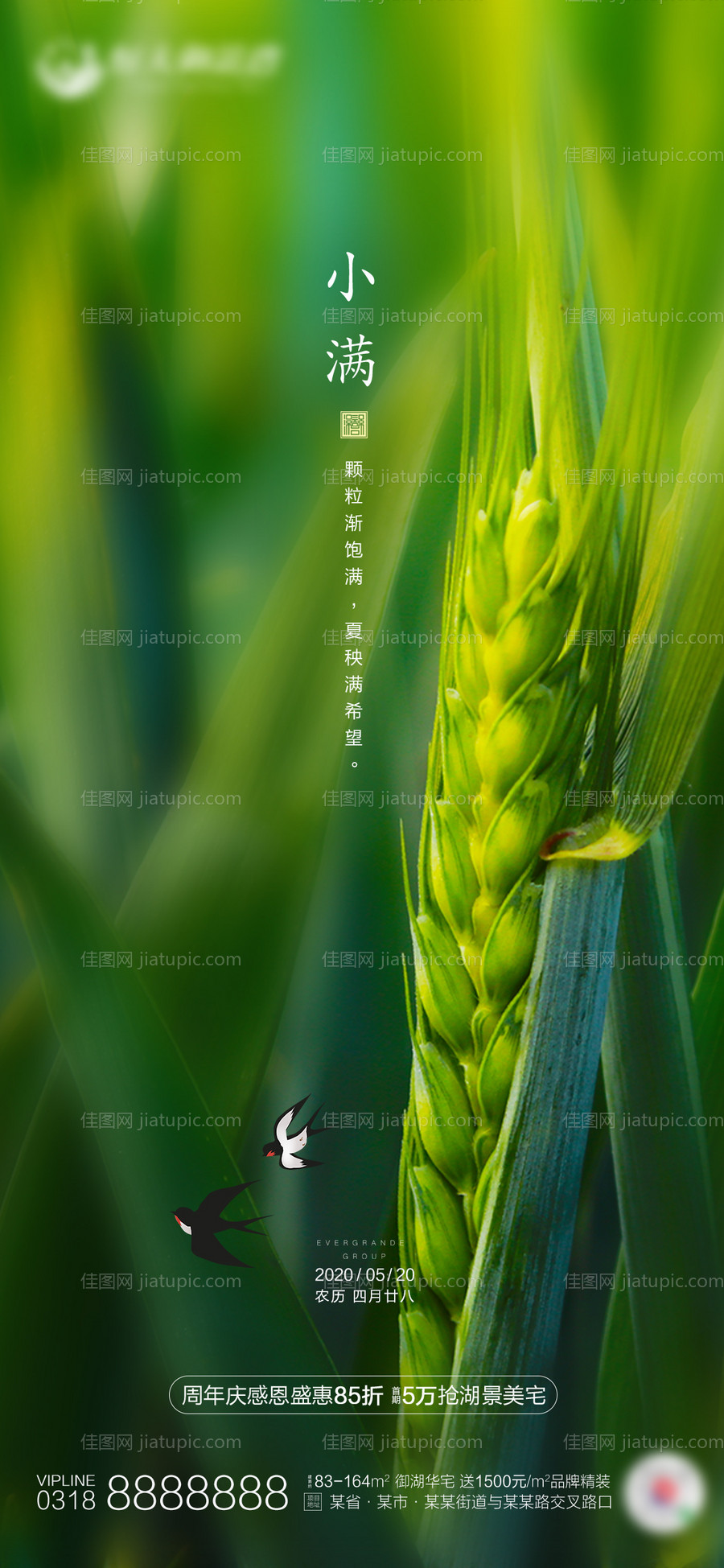 地产小满节气海报-源文件