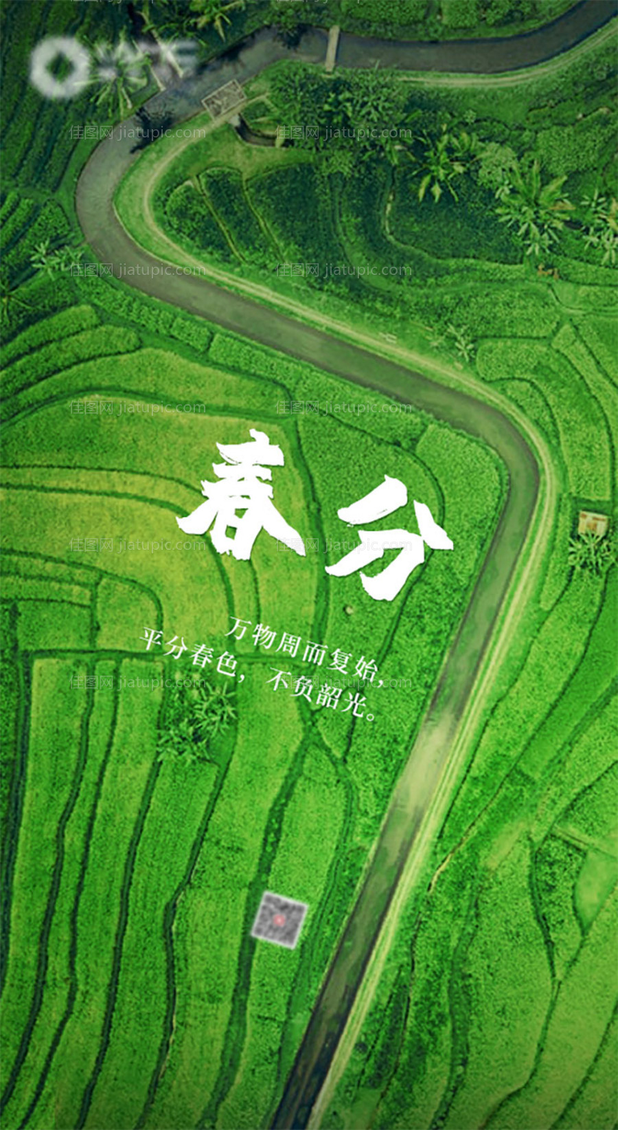 春分节气移动端海报-源文件
