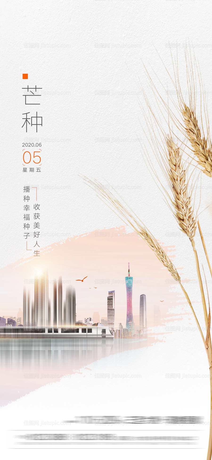 芒种节气海报-源文件