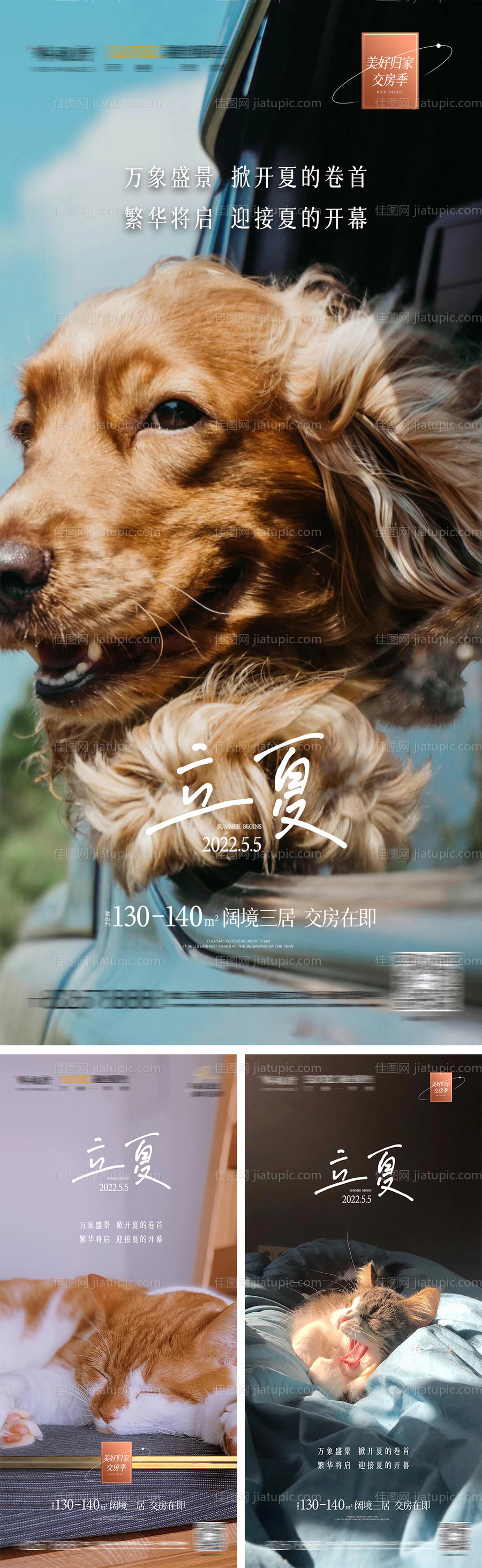 立夏小动物海报-源文件