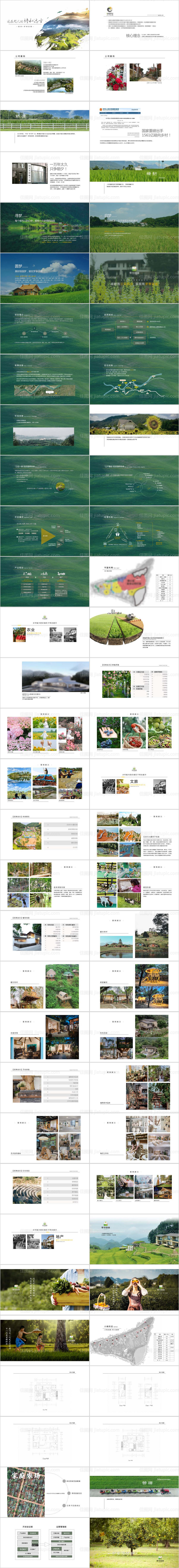 乡村振兴田园项目介绍-源文件