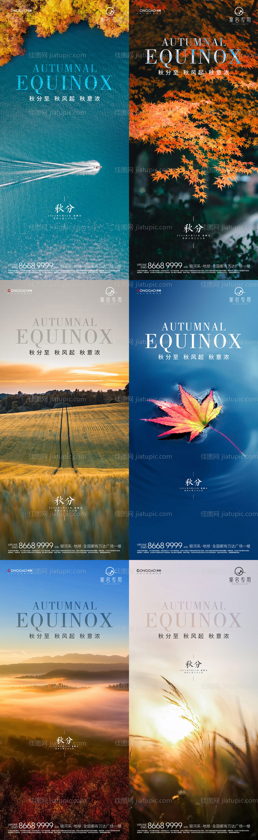 秋分节气系列海报-源文件
