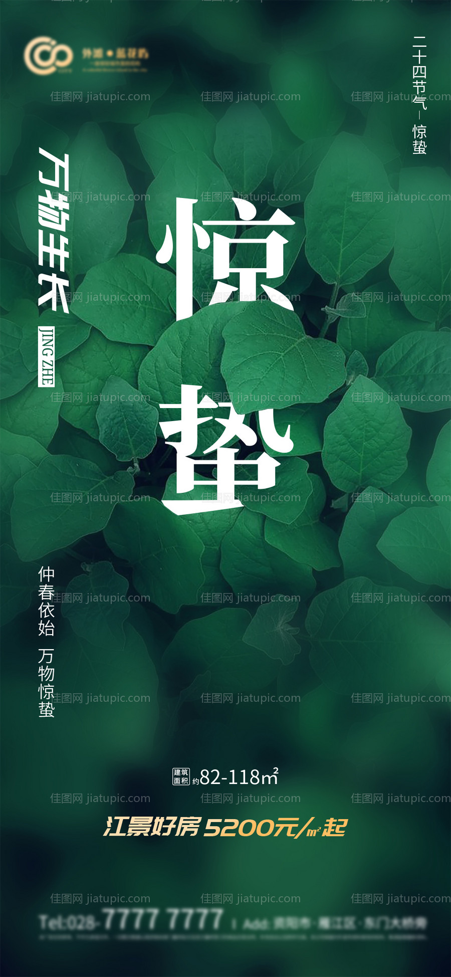 惊蛰二十四节气移动端海报-源文件